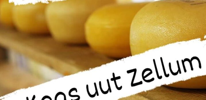 NIEUW: Kaas uut Zellum