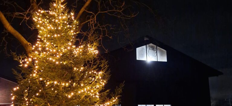 Kerstophaaldag bij Uut Zellum Kerstophaaldag bij Uut Zellum