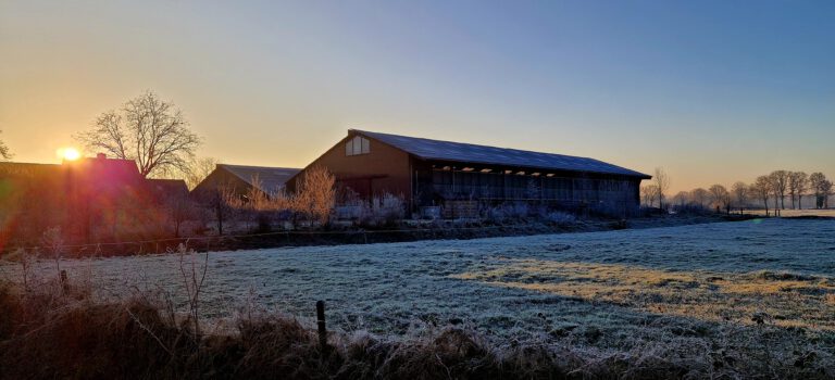 Ophaaldag: Winterse wereld bij boer Dick Uut Zellum Ophaaldag: Winterse wereld bij boer Dick Uut Zellum